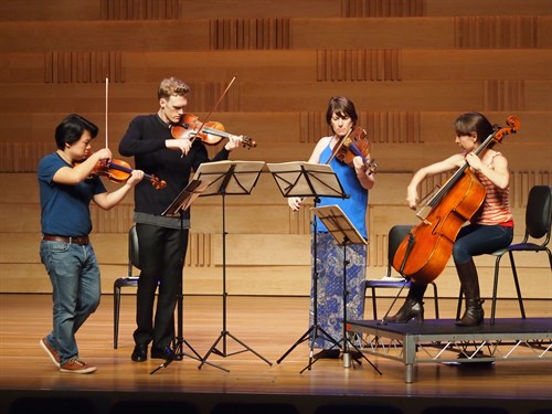 Flinders Quartet Rehearsing