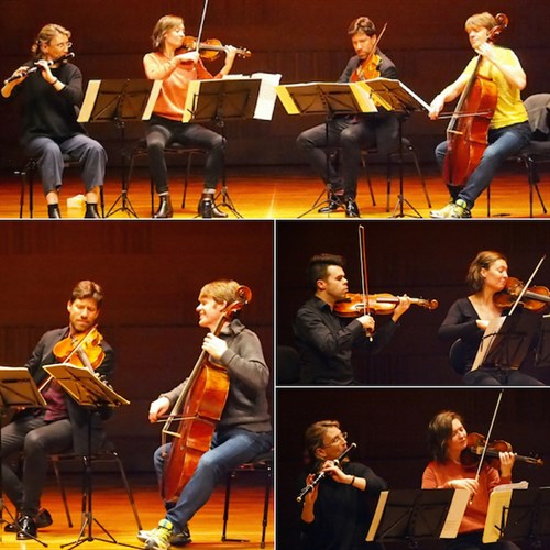 Australian Haydn Ensemble Rehearsal Collage